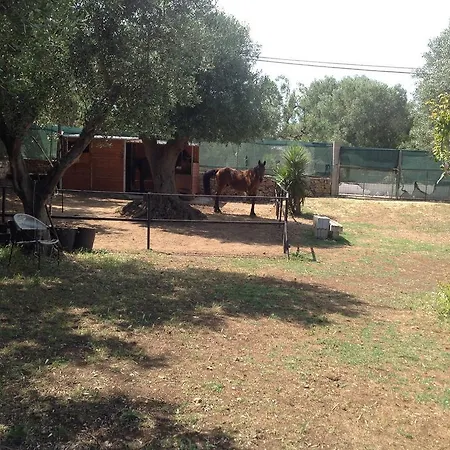Casa de Campo Dandy *