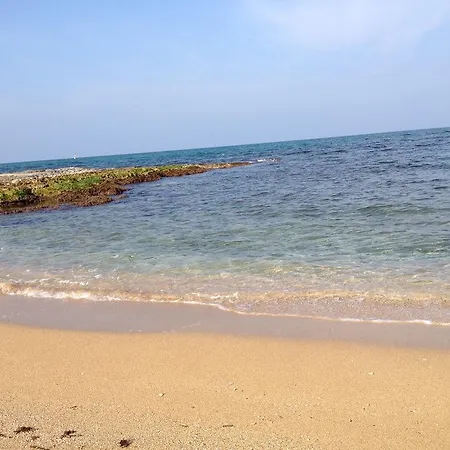 Casa de Campo Dandy *
